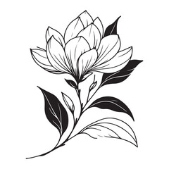 Elegant Magnolia Flower Illustration Floral Silhouette Vector for Design