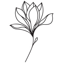 Elegant Magnolia Flower Line Art Vector for Botanical Designs
