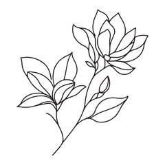 Elegant Magnolia Flower Illustration Blooming Plant Floral Design Artwork
