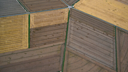 Area view from the drone on fields, parcels  and farming cultivation of crops in agriculture.