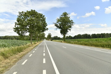 Fototapeta premium Route nationale avec piste cyclable à Hellebecq (Silly)