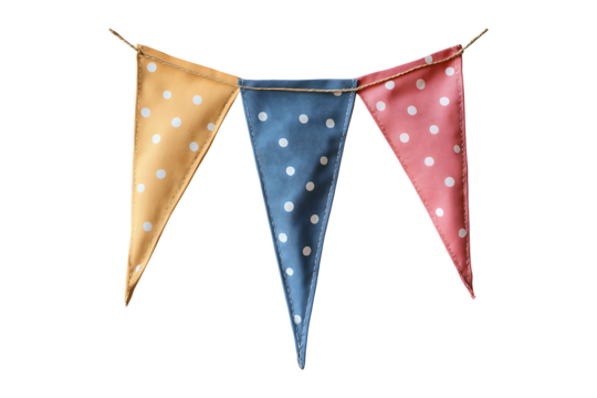 Bunting isolated on transparent background