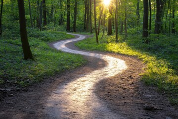 Obraz premium Winding trail through a green forest, bathed in sunlight, creating a peaceful, natural scene
