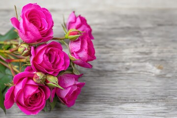 Vibrant pink roses on wooden surface.