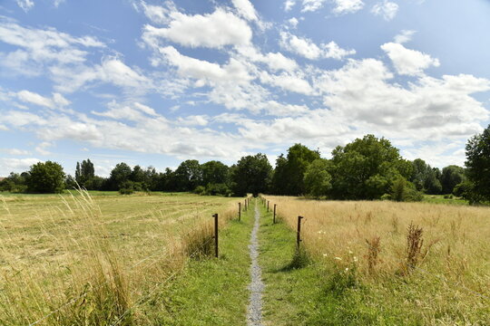 Chemin étroit entre les barbelés à Ghislenghien (Ath)