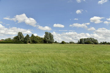 Cumulus blanc-gris au dessus du paysage rural à Ghislenghien (Ath)