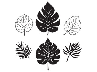Minimalistic Colocasia Leaf Vector in Thin Line Art