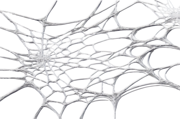 Silver Spiderweb on Black, transparent background, white background
