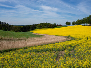 Obraz premium Landscape of different acre fields and forestes under the blue sky