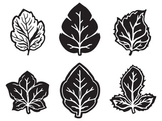 Mint leaf botanical illustration in simple line art style