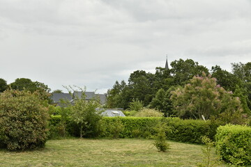 Végétation luxuriante sous un ciel gris à Hellebecq (Silly)