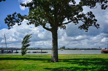 Tree casting shade in a riverside park in Seixal, Portugal, with grass, boats on the Tejo River and dramatic cloudy sky in the background.