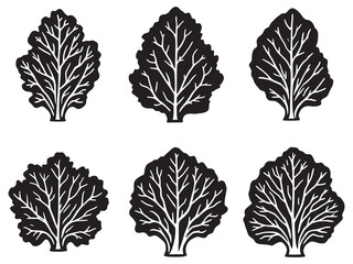 Modern Vector Art of Kale Leaf for Healthy Lifestyle