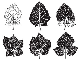 Nature Inspired Coleus Leaf Vector in Intricate Line Art Form