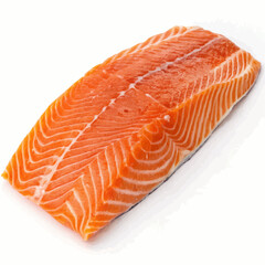 raw salmon fillet