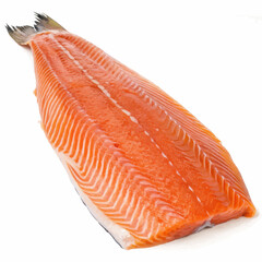 raw salmon fillet