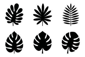 Tropical leaves silhouette vector design elements