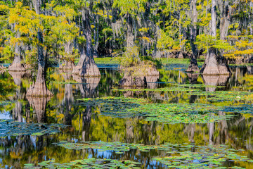Caddo Lake