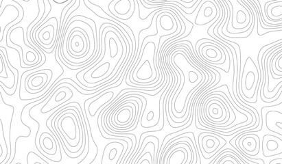 White topology topography vector art abstract. Vector geographic contour map.  Topography and geography map grid abstract backdrop. Business concept.