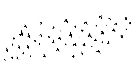 Flying birds silhouette flock. hand drawing. Not AI. Vector illustration.