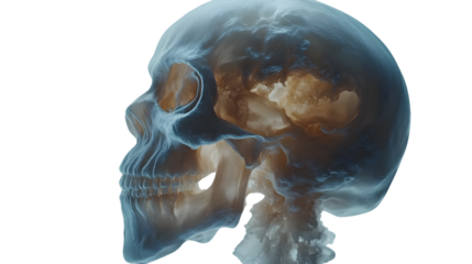 Ethereal Skull with Earthly Interior A Fusion of Anatomy and Planet Ideal for Medical Enviro