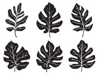 Pilea leaf elegant line art vector illustration for decoration