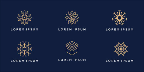 Set of premium beauty flower logo