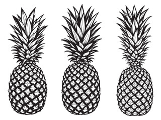 Obraz premium Pineapple art icon creative tropical fruit drawing