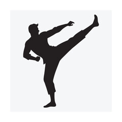 Martial Arts High Kick Training