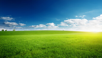 Obraz premium green meadow under blue sky