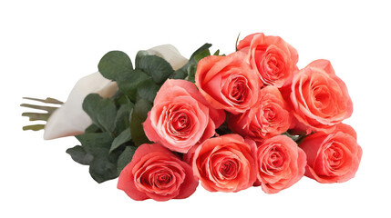 Obraz premium Bouquet of fresh coral roses on a white background, png, transparent