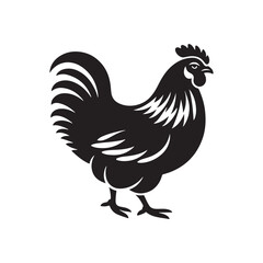 Vector silhouette of rooster on white background