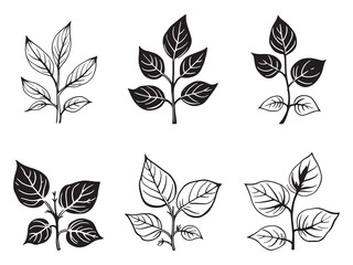 purslane leaf botanical line art vector illustration design