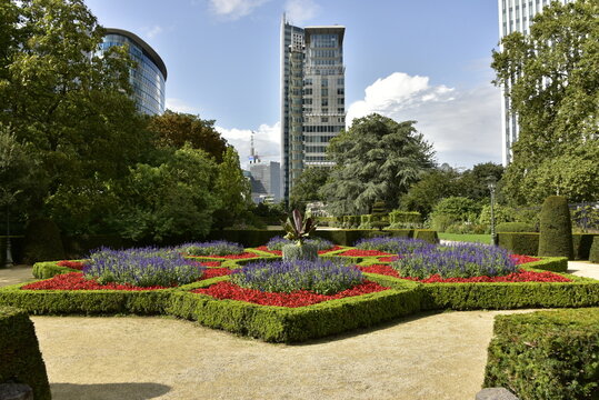 D&eacute;coration florale en formes au jardin botanique de Bruxelles 
