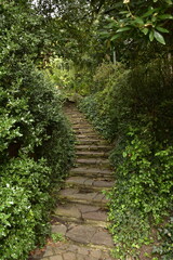 Escaliers rustique en pierres au parc Tenbosch à Ixelles (Bruxelles) 