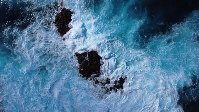 Seascapes of the Canary Islands