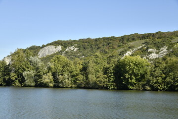 Feuillage des arbres d'un bois touchant les eaux de la Meuse à Yvoir (Dinant) 