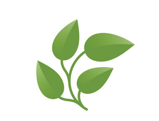 Green curved plant with four leaves illustration. Spring, planting and nature design element. Isolated vector image