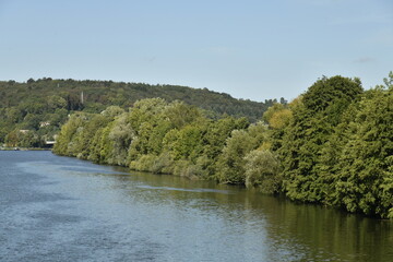 Fototapeta premium Feuillage des arbres d'un bois touchant les eaux de la Meuse à Yvoir (Dinant) 