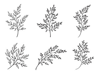 Simple black and white willow leaf sketch design