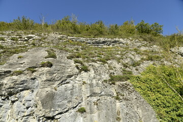 Imposante parois de roche calcaire au dessus du village de Houx à Yvoir (Dinant) 