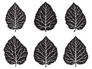 Fototapeta premium Simple Elegant Guava Leaf Line Art Design for Creative Projects