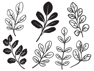 Simple Eucalyptus Leaf Line Drawing for Modern Decor