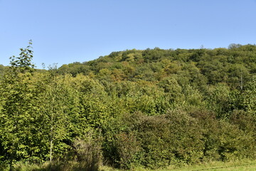 Fototapeta premium Colline boisée sous un ciel d'été à Yvoir (Dinant)