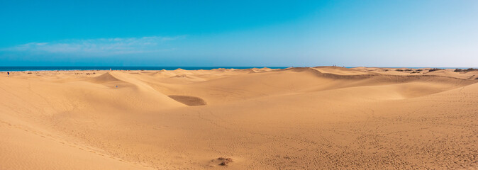 Dunes of Maspalomas, grand canary, in summer