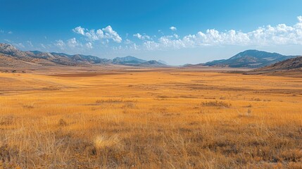 Vast, golden, dry plains stretch between mountain ranges under a vibrant, clear blue sky.