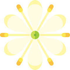 spider plant illustration on a white background     