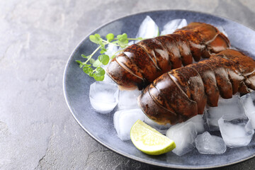 Raw lobster tails with microgreens, lime and ice on grey table, closeup. Space for text