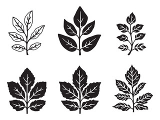Simple Tansy Leaf Line Artwork for Design Projects