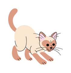 Siamese cat hand drawn doodle